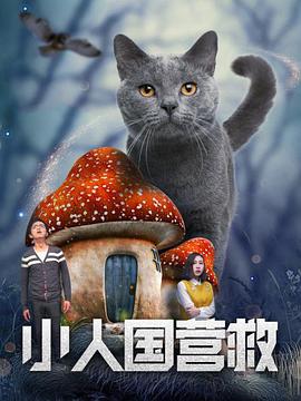 粉丝的邀请派对